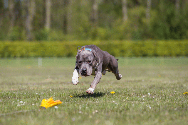 3Y3A7701 26733286691 O