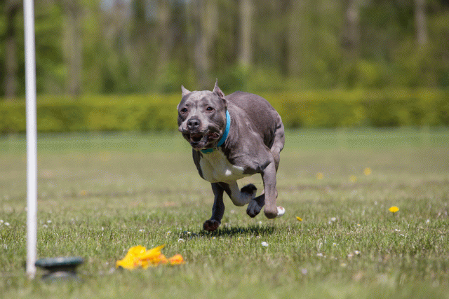 3Y3A7702 26799953015 O