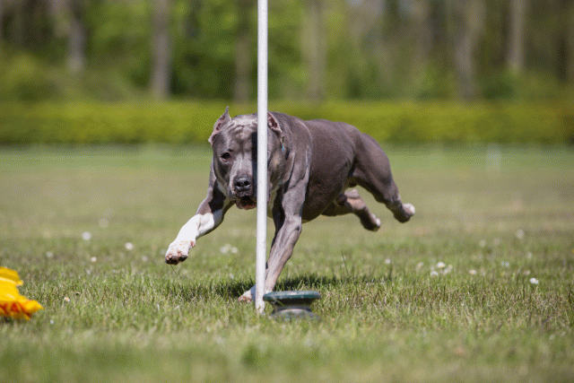 3Y3A7703 26195095814 O