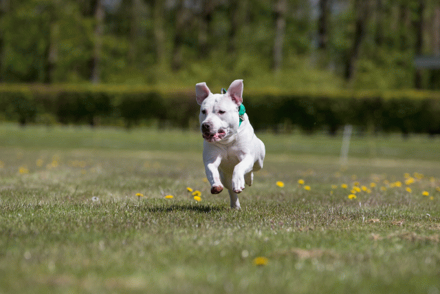 3Y3A7707 26775622166 O