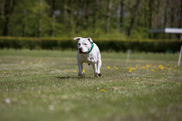 3Y3A7708 26733285691 O