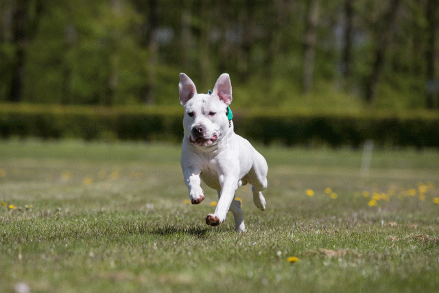 3Y3A7709 26775621706 O