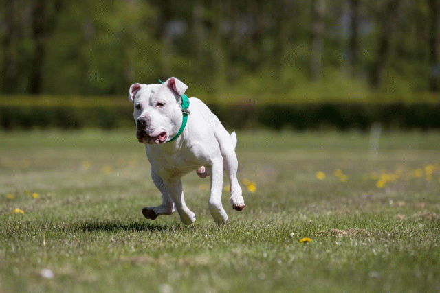 3Y3A7710 26196446843 O