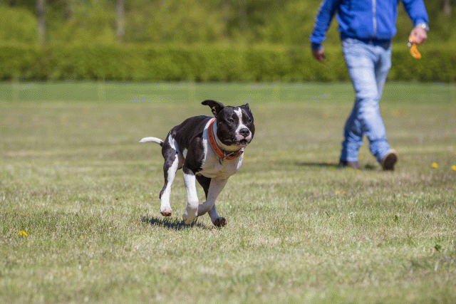 3Y3A7712 26707011142 O