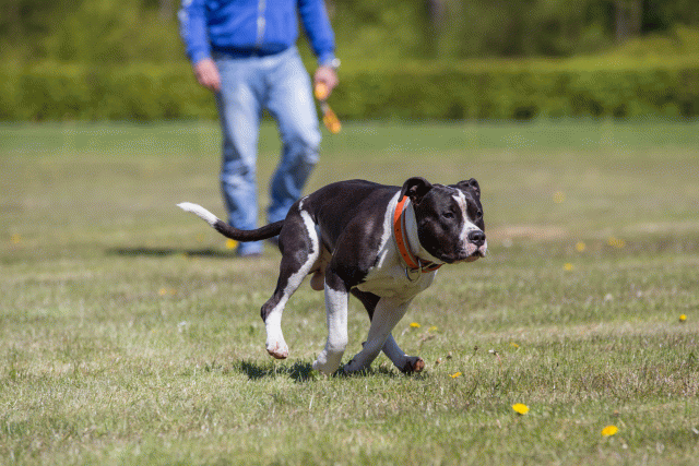 3Y3A7714 26799949645 O