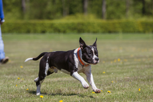 3Y3A7715 26775619946 O