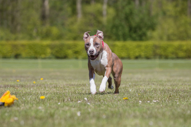 3Y3A7719 26528015120 O