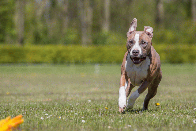 3Y3A7721 26528014860 O