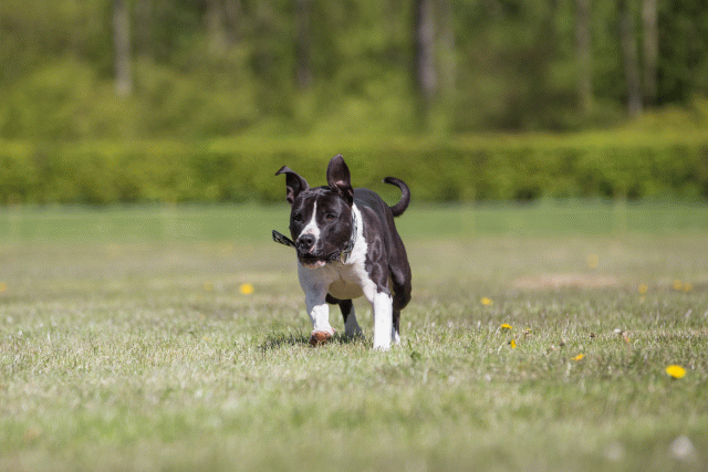 3Y3A7733 26196443053 O