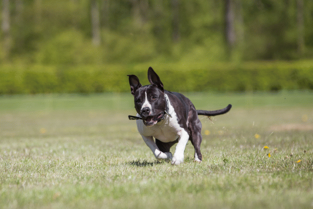 3Y3A7734 26775620186 O