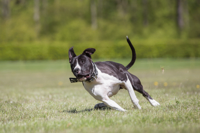 3Y3A7735 26196442433 O