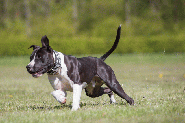 3Y3A7736 26196438563 O