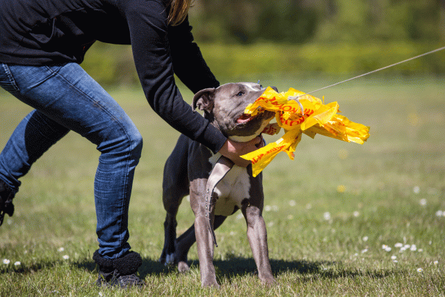 3Y3A7743 26528014220 O