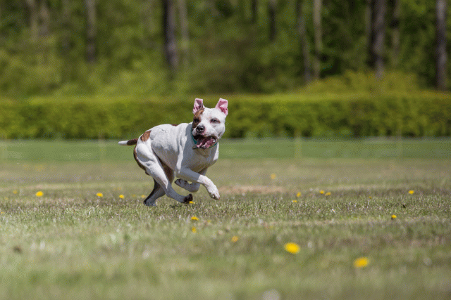 3Y3A7748 26707009072 O