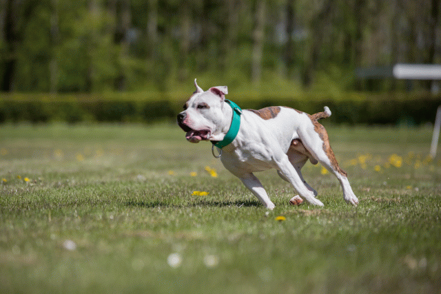 3Y3A7751 26196434703 O