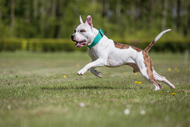 3Y3A7752 26707008162 O