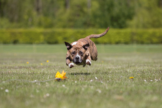 3Y3A7754 26196432873 O