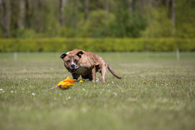 3Y3A7755 26799944845 O