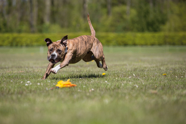 3Y3A7756 26706979502 O