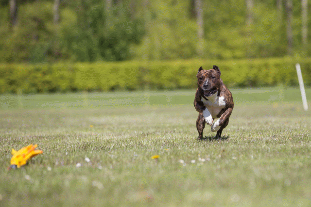 3Y3A7759 26707007682 O