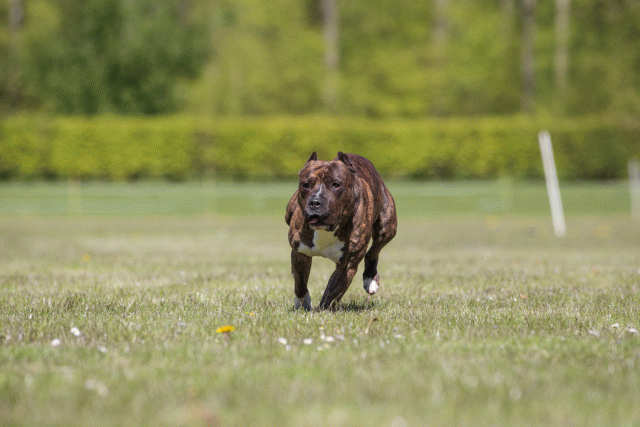 3Y3A7760 26196431173 O