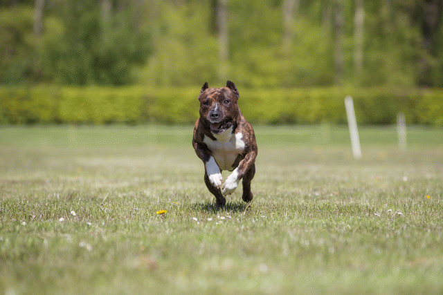 3Y3A7761 26707007402 O