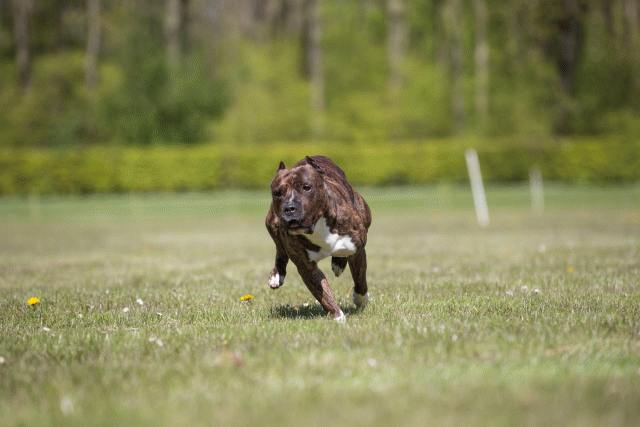 3Y3A7762 26799943585 O