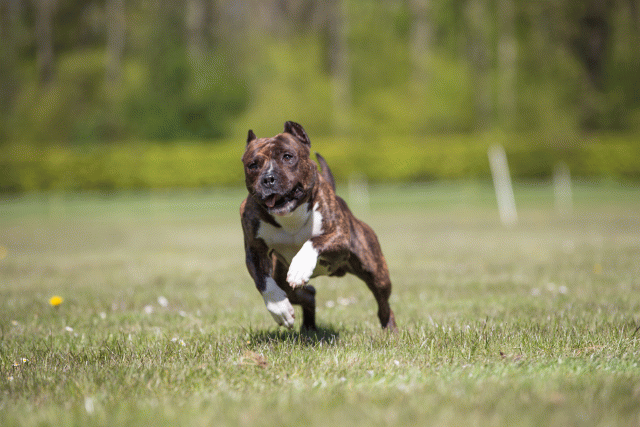 3Y3A7763 26707007052 O