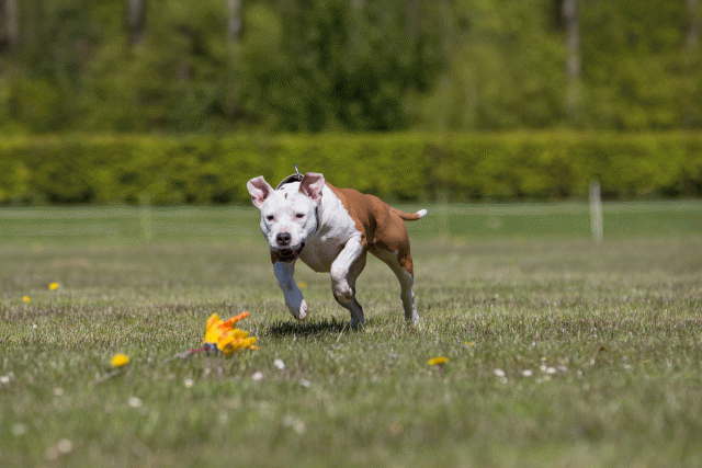 3Y3A7768 26707006862 O