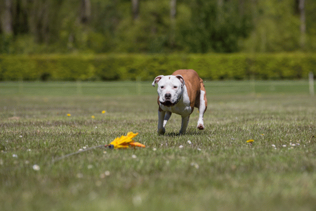 3Y3A7769 26799942395 O