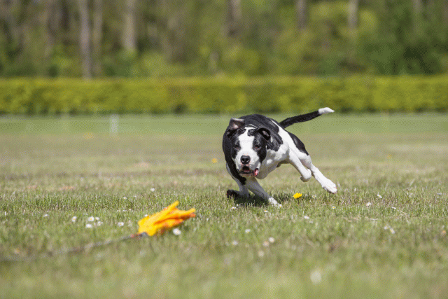 3Y3A7777 26528010070 O