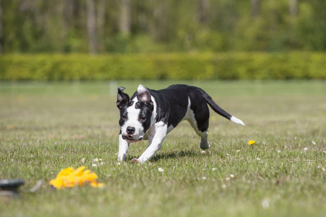 3Y3A7778 26799941215 O