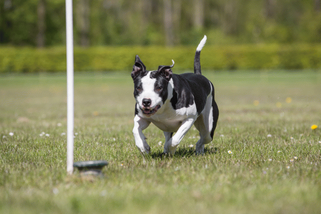 3Y3A7779 26707005722 O