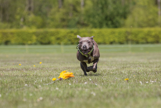 3Y3A7782 26799940805 O