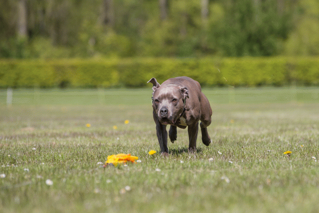 3Y3A7783 26196422673 O