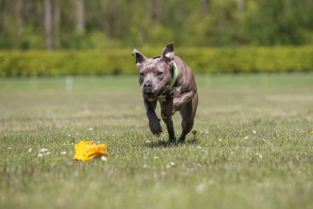 3Y3A7784 26799940545 O