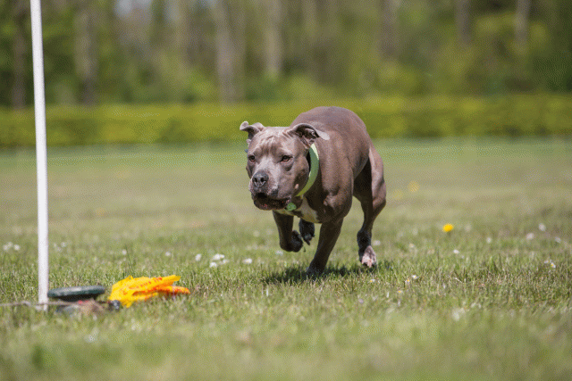 3Y3A7785 26707004842 O