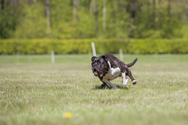 3Y3A7790 26196421633 O