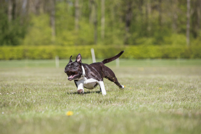 3Y3A7791 26707004212 O