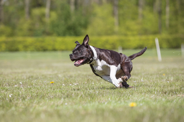 3Y3A7792 26799938955 O