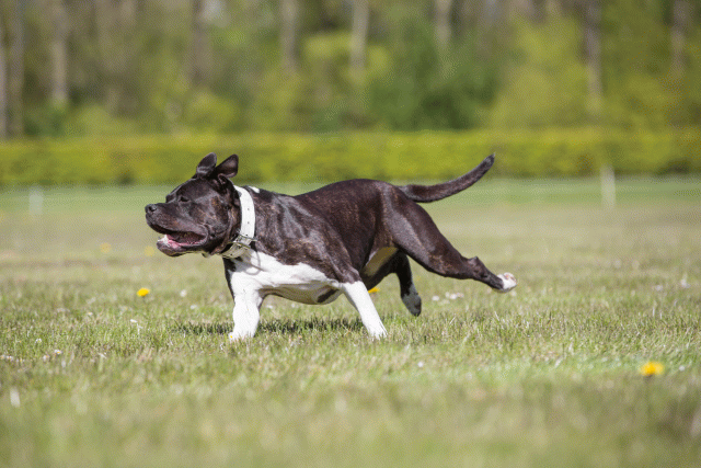 3Y3A7793 26707003302 O