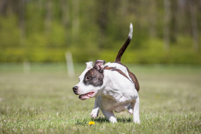 3Y3A7796 26799938435 O