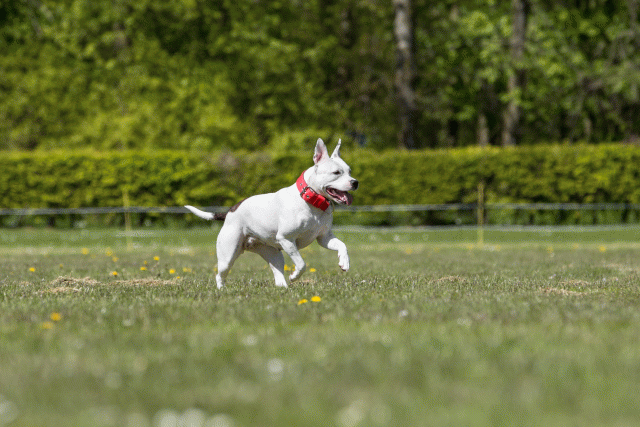 3Y3A7808 26196419323 O