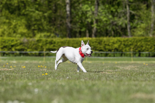 3Y3A7809 26733268651 O