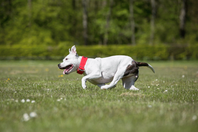 3Y3A7812 26196418893 O