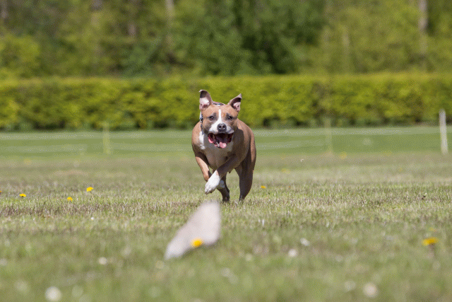 3Y3A7817 26528006110 O