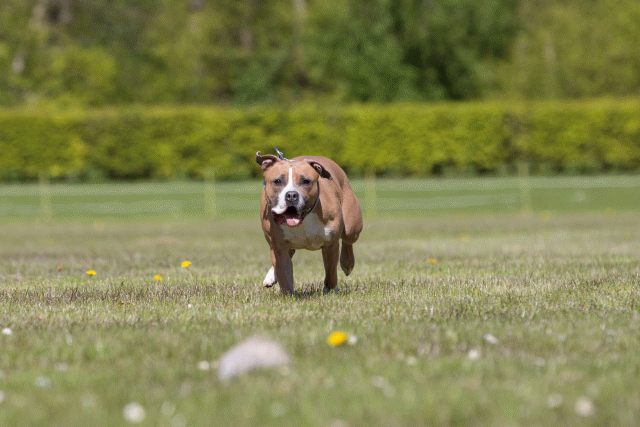 3Y3A7818 26195077044 O