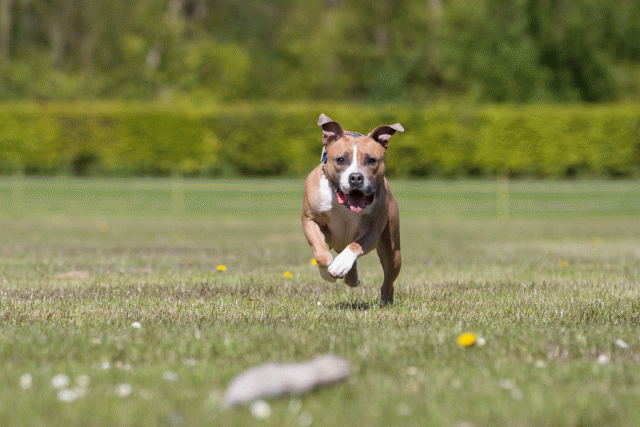 3Y3A7819 26196418373 O