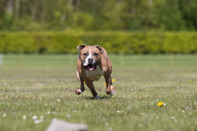 3Y3A7820 26195076584 O