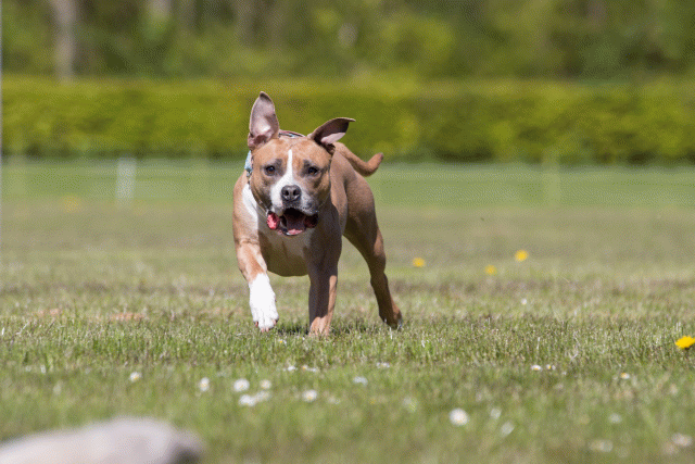 3Y3A7821 26528005600 O